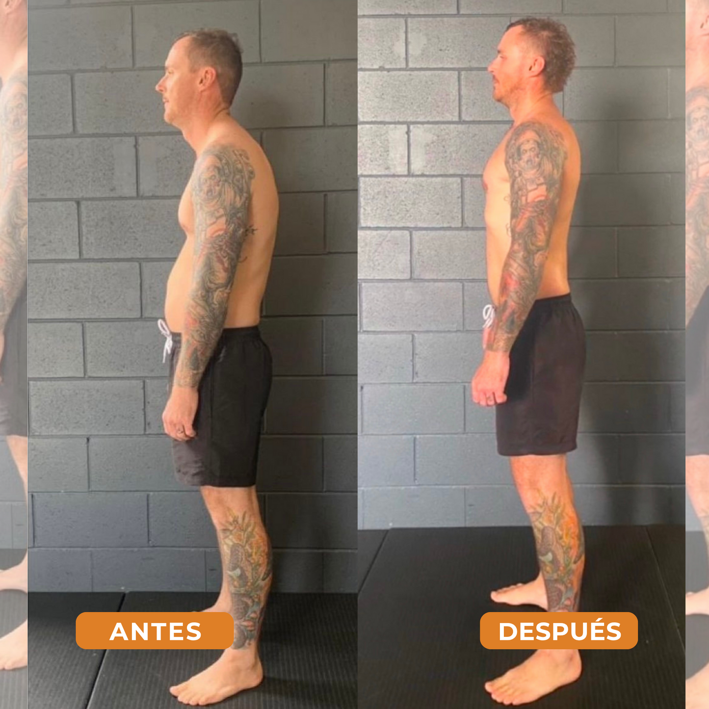 PROMO 2X1 PosturePro® - Corrector Postural Ortopédico Premium + Libro Electrónico de REGALO y Envio Gratís!!